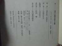 資本主義対資本主義