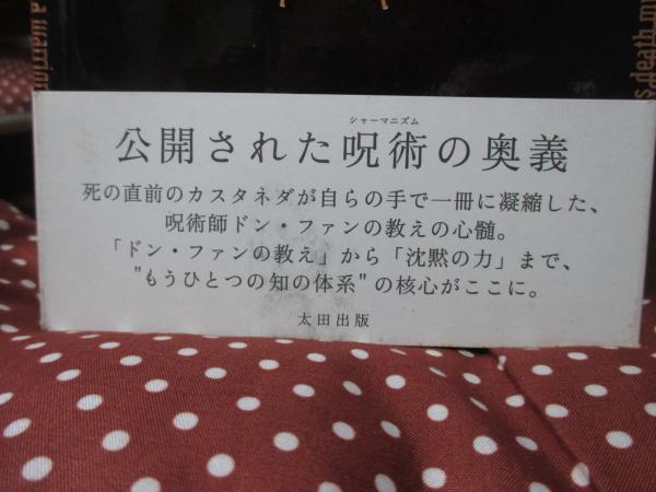 時の輪 : 古代メキシコのシャーマンたちの生と死と宇宙への思索  