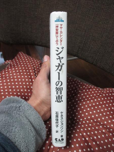 ジャガーの智恵(ケネス・ジョンソン 著 ; 石原佳代子 訳) / 大釜書店 ...