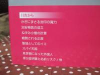 かぎの話と窃盗リスク : 大悪人はいない国