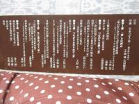 生をつなぐ家 : 親族研究の新たな地平