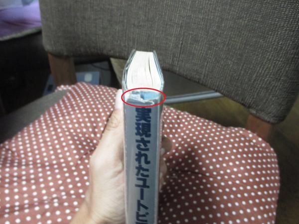 実現されたユートピア | 月尾嘉男, 北原理雄 共著 | 鹿島出版会 | ¥800