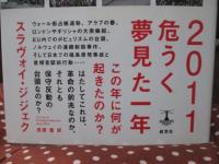 2011 : 危うく夢見た一年