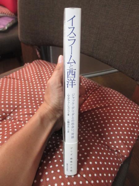 都市の文明イスラーム (講談社現代新書 1162 新書イスラームの