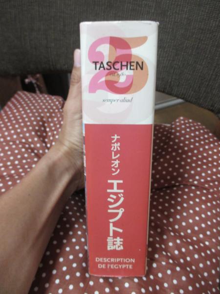 ナポレオン「エジプト誌」Description de l’Egypte」希少本 Description de L'Egypte: Taschen, Angelika: Amazon.com: Books