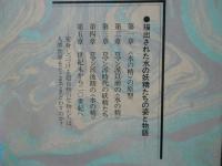 水の妖精の系譜 : 文学と絵画をめぐる異界の文化誌