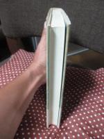 水の妖精の系譜 : 文学と絵画をめぐる異界の文化誌