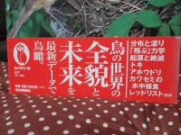図説 日本の野鳥
