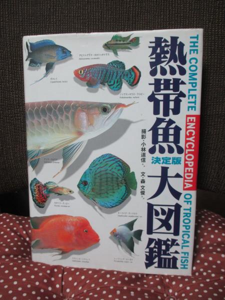 決定版 熱帯魚大図鑑(小林道信 ほか撮影 ; 森文俊 ほか文
