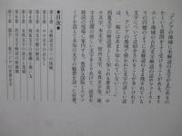 アジアの未解読文字 : その解読のはなし