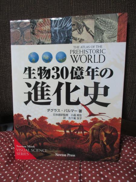 GAME19×× あの頃の極上ゲームたち80年代編 | ゆうき サトル |本