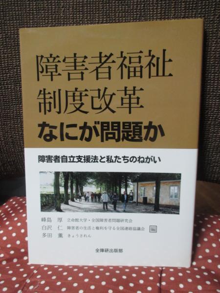 国家・政治・市民社会 : クラウス・オッフェの政治理論(田村哲樹