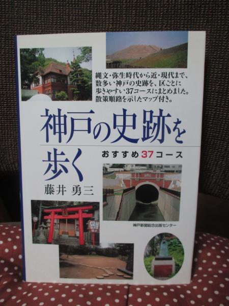 萬世一系」の研究 : 「皇室典範的なるもの」への視座(奥平康弘