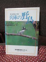 兵庫の野鳥