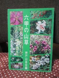 六甲の山草