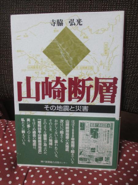 国家・政治・市民社会 : クラウス・オッフェの政治理論(田村哲樹