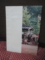 神戸の民俗芸能　兵庫・北編　<神戸市文化財調査報告書21>
