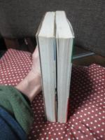 「無宿人 御子神の丈吉 上・中」 2冊セット