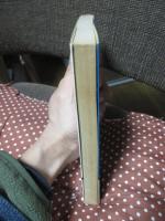 さいはての馬券師　＜双葉新書＞