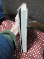 子供たちの大正時代 : 田舎町の生活誌