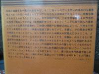 言語と人間科学