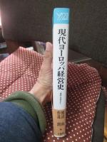現代ヨーロッパ経営史 : 「地域」の視点から