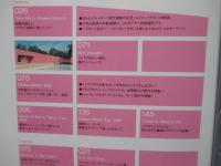 CASA BRUTUS カーサ ブルータス 「安藤忠雄とメキシコへ ルイス バラガン建築の世界」　2002年6月号