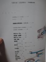 安藤忠雄淡路夢舞台: 千年庭園の記録