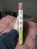 漂海録