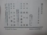 闇のなかの石