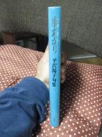 水あかり : 平沢陽子句集
