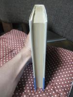 小説世界のロビンソン <単行本>
