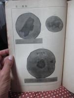 すぎ心材色黒変に関する研究　（林業試験報告 第16号 別冊）