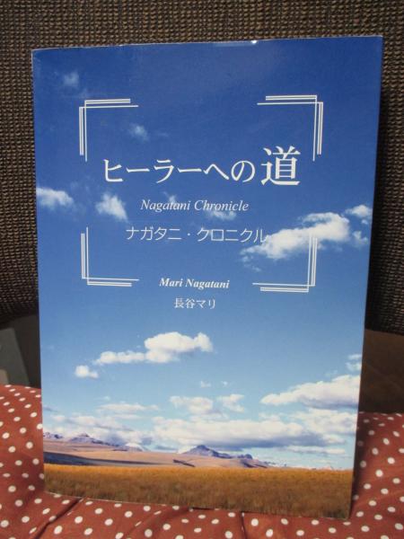 フランクフルト学派の展開―20世紀思想の断層 フランクフルト学派の展開: 20世紀思想の断層 | 徳永 恂 |本