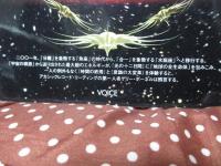 光の十二日間