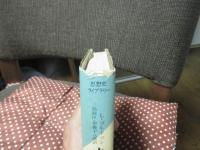 カントにおける人間・共同体・世界 : 弁証法の歴史の研究