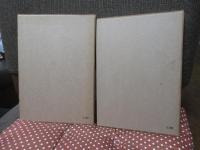 〈ヘーゲル全集10,10b〉  「(改訳) 歴史哲学 上巻・下巻」 全2冊セット