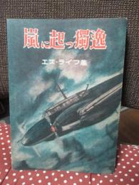 嵐に起つ独逸