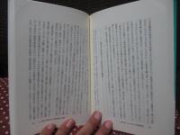 紛争社会と民主主義 : 国際選挙監視の政治学