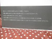 ウィトゲンシュタインの知88