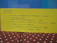 ベルギーを〈視る〉 テクスト―視覚―聴覚