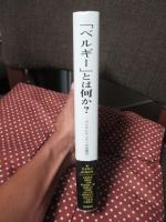 「ベルギー」とは何か? : アイデンティティの多層性