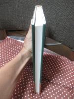 実力画家たちの忘れられていた日本洋画