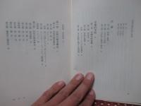 言語芸術作品 : 文芸学入門