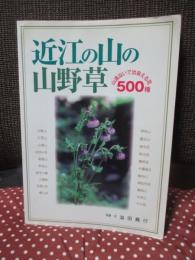 近江の山の山野草 : 山道沿いで出会える花500種