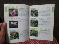 近江の山の山野草 : 山道沿いで出会える花500種
