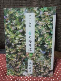 フォト句集　苔の寄り道