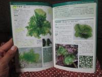 日本の海藻 : 基本284