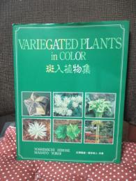 斑入植物集： VARIEGATED PLANTS in COLOR