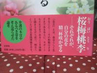 自分らしく生きる : 福祉の現場から